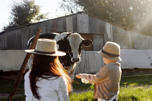 Niño de tiro medio viendo vaca