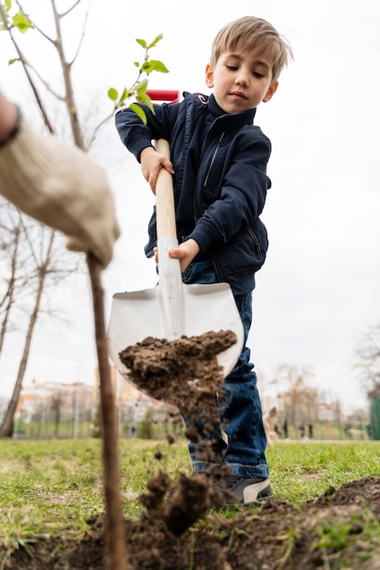 Niño tratando de plantar un árbol al aire libre