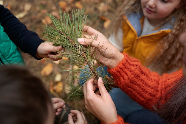 Foto gratuita los niños aprenden sobre el medio ambiente.