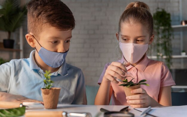 Niños aprendiendo sobre plantas de tiro medio.