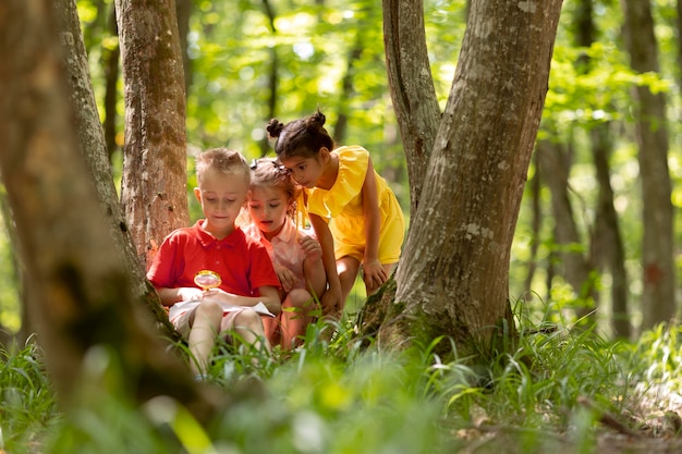 Niños curiosos que participan en una búsqueda del tesoro en el bosque.