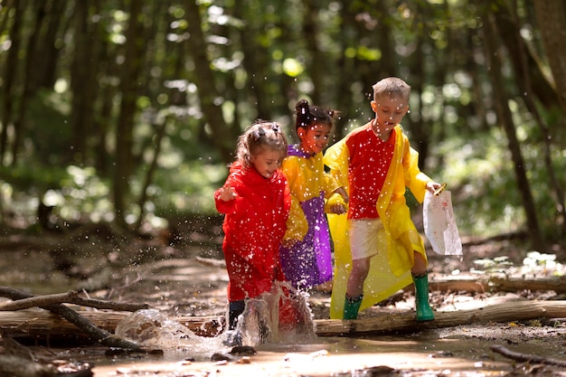 Niños curiosos que participan en una búsqueda del tesoro en el bosque.