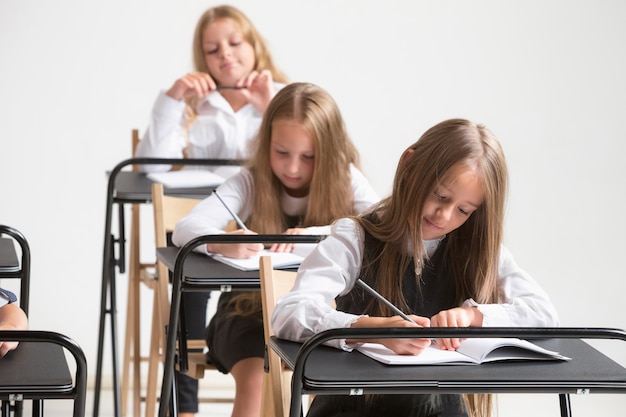 Niños de la escuela en el aula en la lección