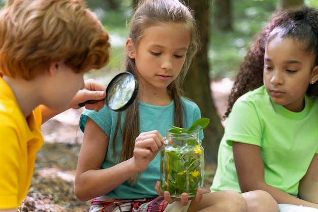 Foto gratuita niños explorando juntos la naturaleza.