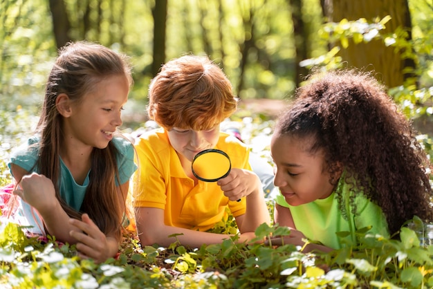 Foto gratuita niños explorando juntos la naturaleza.