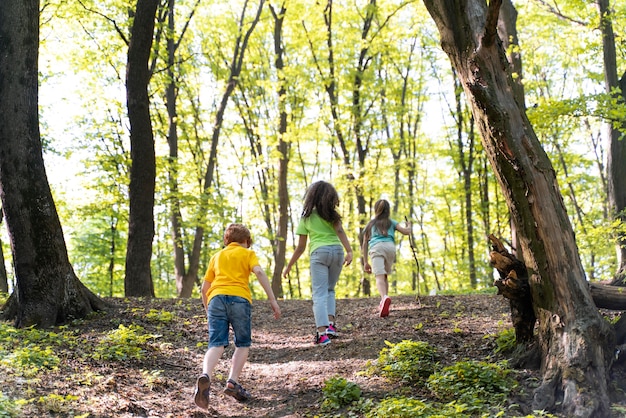 Niños lindos explorando la naturaleza