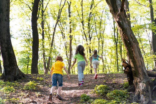 Niños lindos explorando la naturaleza