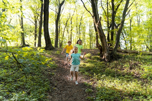 Niños lindos explorando la naturaleza