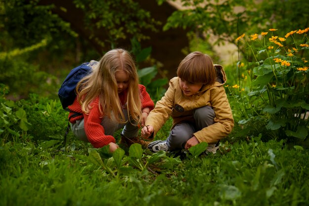 Niños de tiro completo explorando la naturaleza juntos