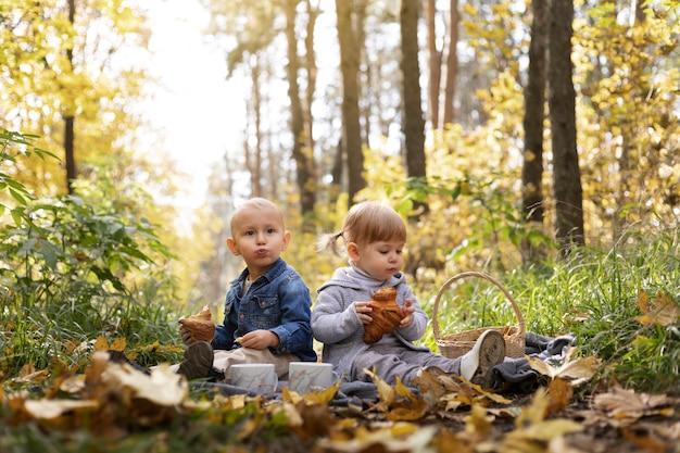 Foto gratuita niños de tiro completo sentados en hojas