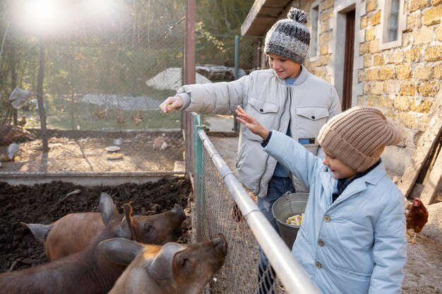 Niños de tiro medio alimentando cerdos