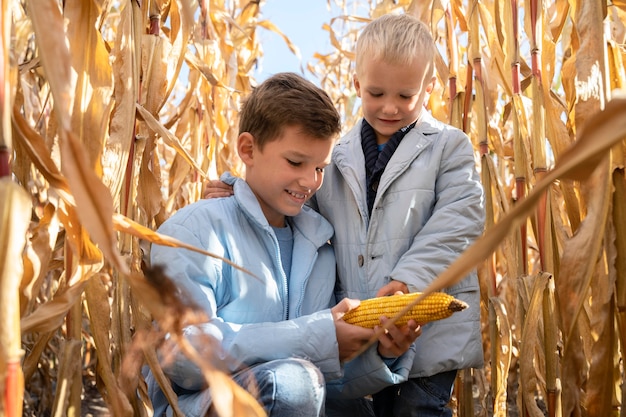 Niños de tiro medio con maíz