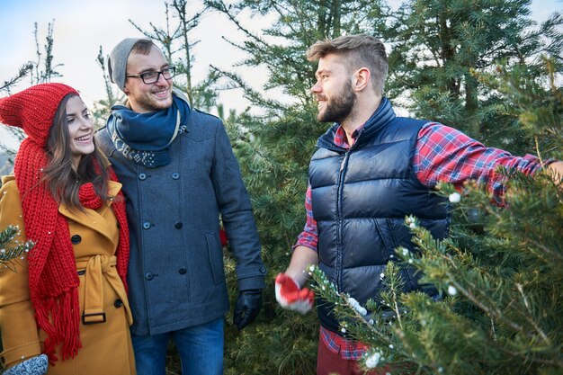 No te arrepentirás de comprar este árbol