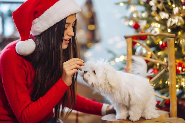 En Nochevieja, una mujer juega con un perro pequeño. Año nuevo con un amigo