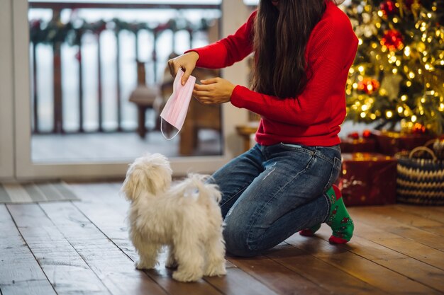 En Nochevieja, una mujer juega con un perro pequeño. Año nuevo con un amigo