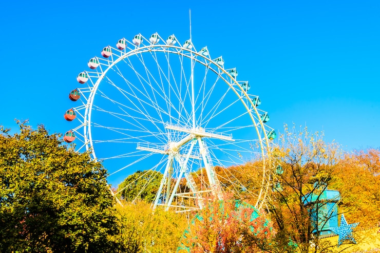 Foto gratuito noria en el parque