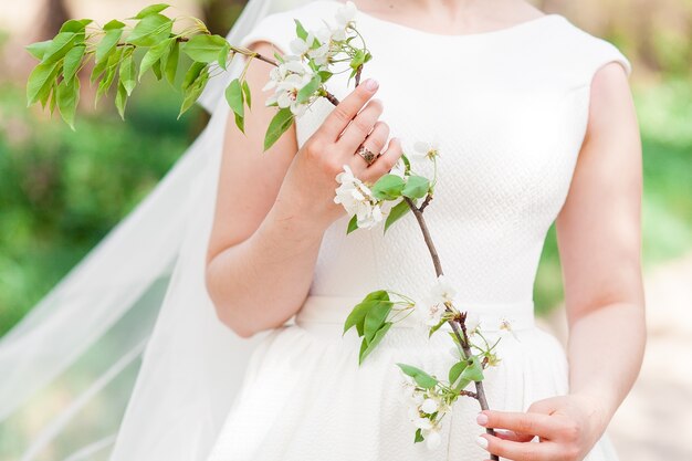 Novia de la boda que sostiene la rama con las flores blancas.