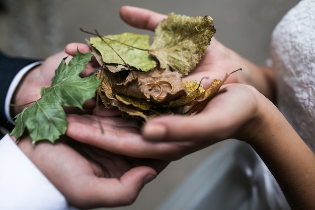 La novia y el novio con anillos de boda y hojas de otoño en las manos