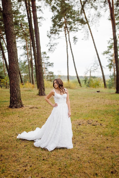 La novia y el novio corren por un bosque Sesión de fotos de boda