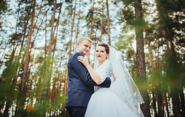 Novia y el novio en el día de la boda caminando al aire libre en la naturaleza de verano.