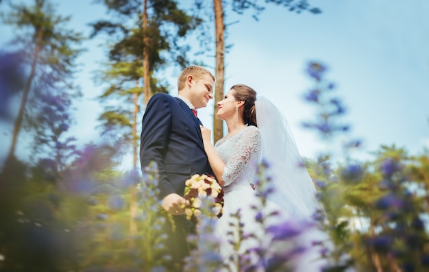 Novia y el novio en el día de la boda caminando al aire libre en la naturaleza de verano.