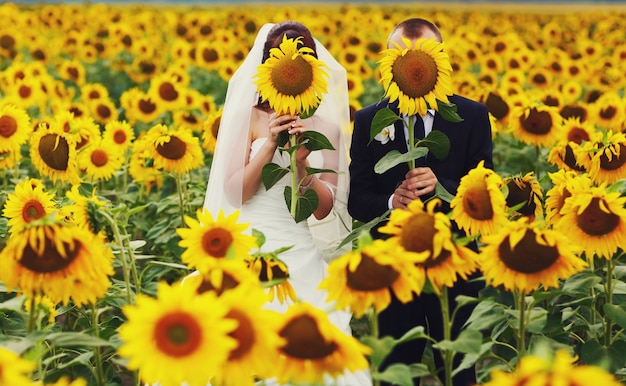 La novia y el novio esconden sus rostros detrás de girasoles amarillos