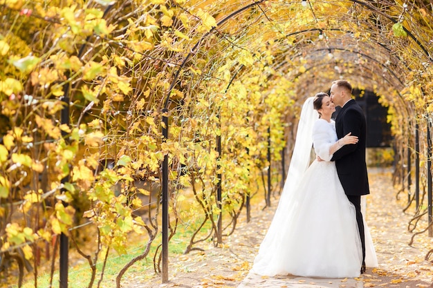 Novia pareja abrazándose bajo el viñedo con hojas amarillentas