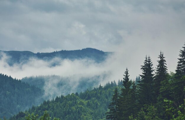 Nubes de lluvia en la cima de la montaña