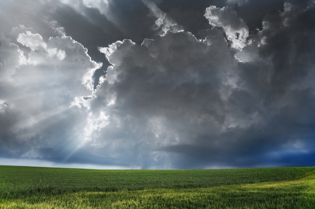 Nubes negras sobre el campo