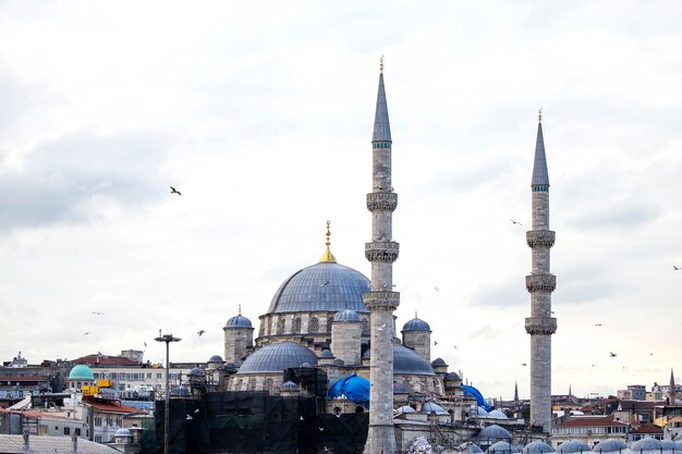 Nueva Mezquita en Estambul en tiempo nublado con edificios residenciales alrededor y pájaros voladores, Turquía