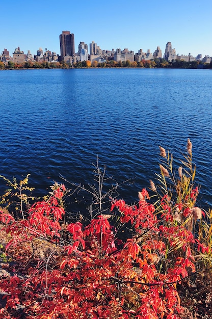 Foto gratuita nueva york manhattan otoño