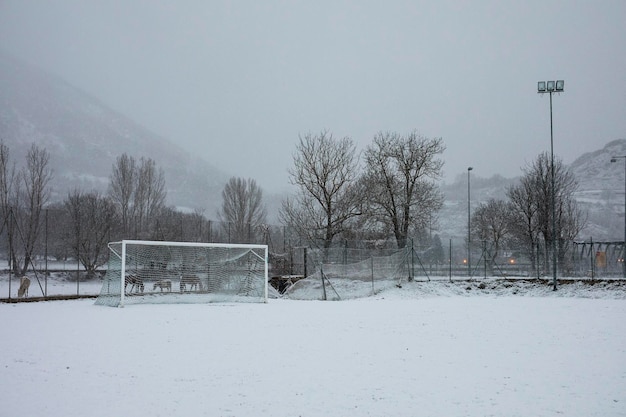 Objetivo de invierno