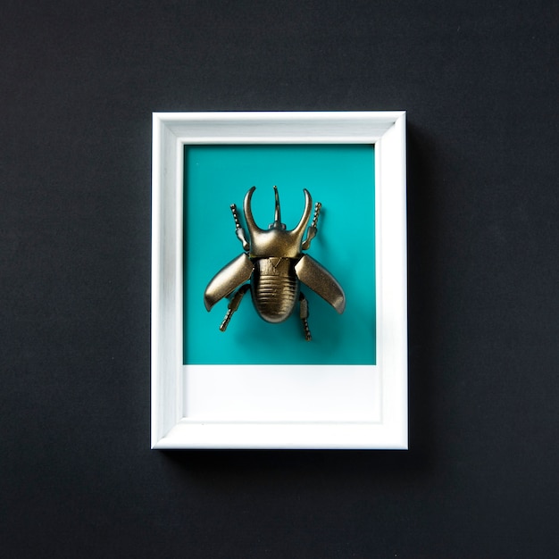 Foto gratuita objeto de juguete de insecto escarabajo alado.