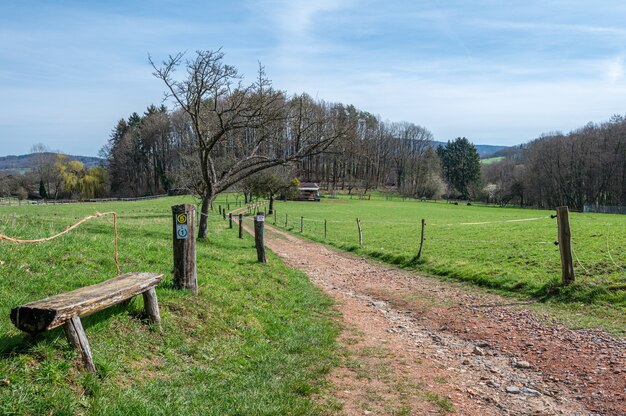 Odenwald tiene muchos bancos con excelentes vistas.