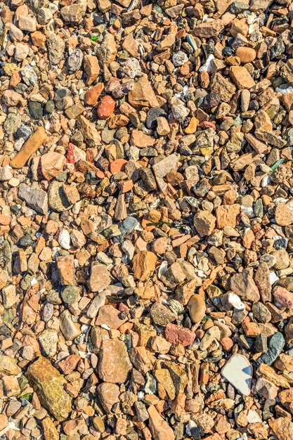 Ola amarilla de fondo de piedra las algas marinas