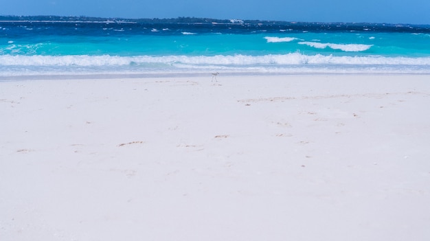 Ondas de agua azul en la orilla de un océano