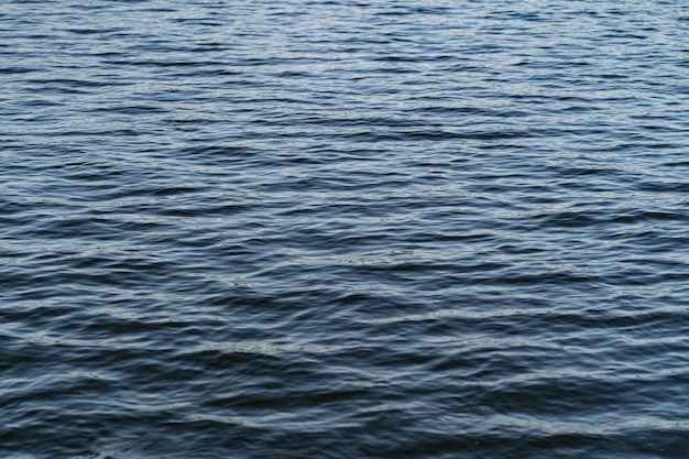 Foto gratuita ondas de agua para fondos de naturaleza