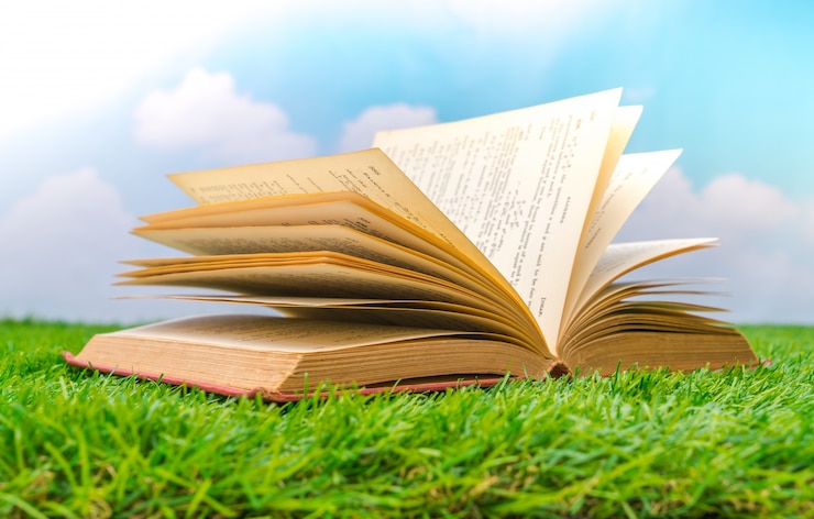 Foto gratuito open book on grass