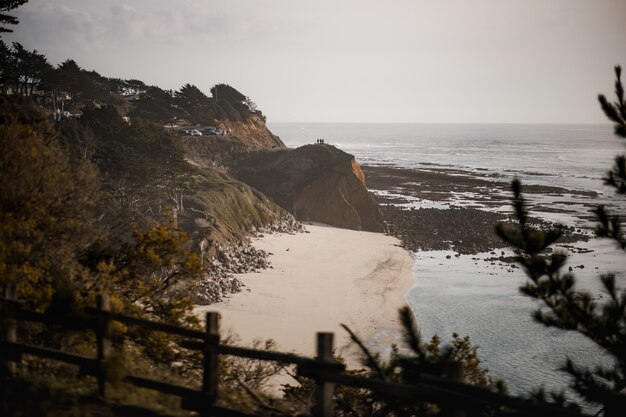 orilla de la playa durante el día