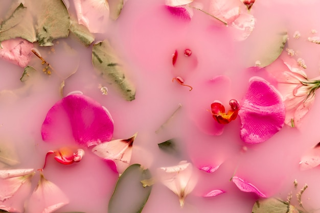 Orquídeas y rosas en agua de color rosa