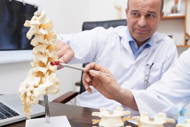 Foto gratuita osteópata apuntando al modelo de inflamación de la columna vertebral en el consultorio médico