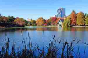 Foto gratuita otoño de central park de la ciudad de nueva york