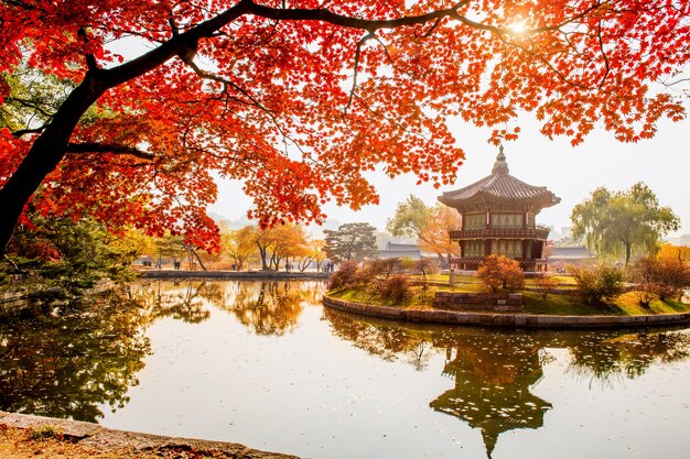 Otoño en el Palacio Gyeongbokgung, Seúl en Corea del Sur.