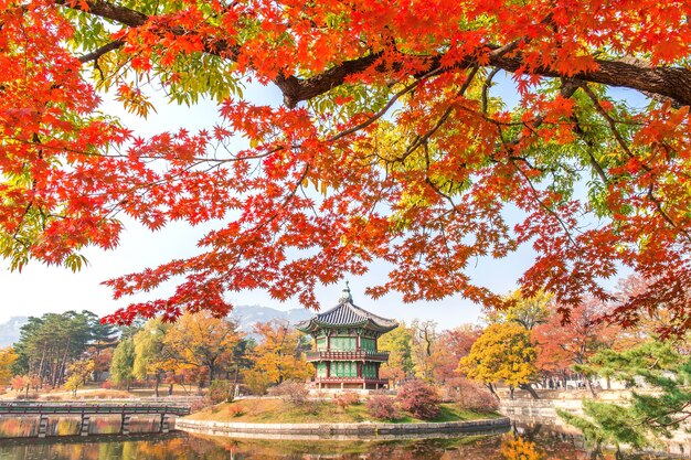 Otoño en el Palacio Gyeongbukgung, Corea.