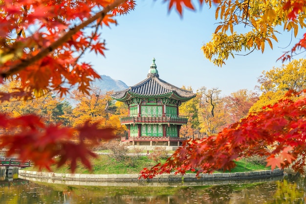 Otoño en el Palacio Gyeongbukgung, Corea.