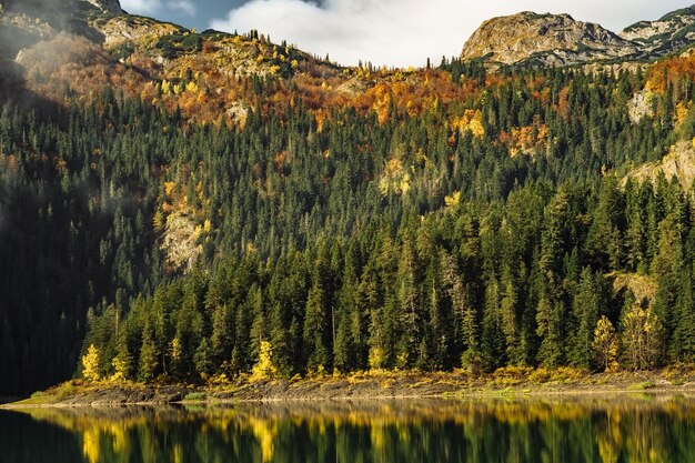 Otoño Parque Nacional Lago Negro Durmitor Zabljak Montenegro