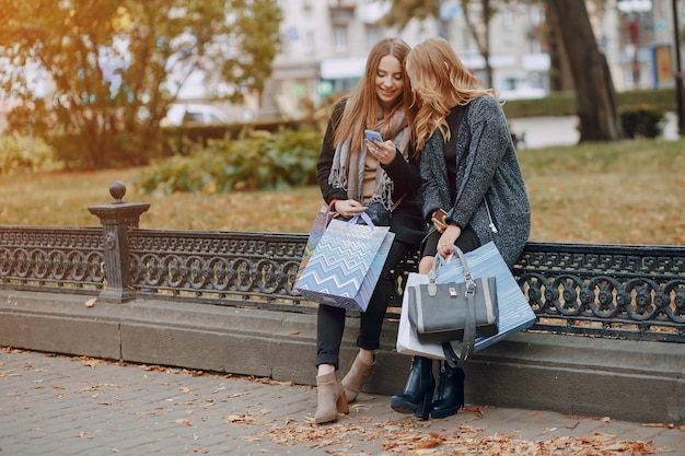 Otoño, sentarse, elegante, gris, compra