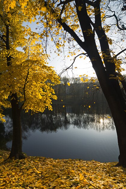 Otoño tranquilo