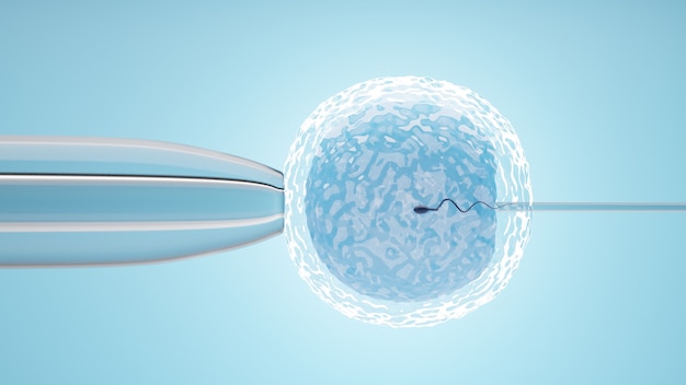 Óvulo con aguja para inseminación artificial o fertilización in vitro. representación de la ilustración 3d.