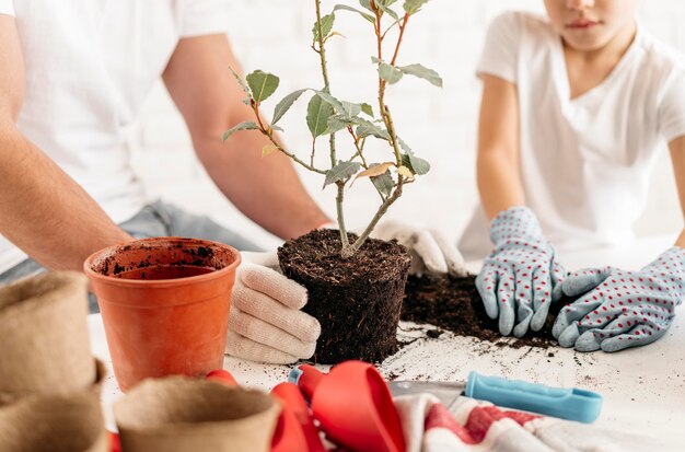 Padre e hijo plantando plantas en casa juntos